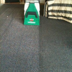 Auckland commercial carpet cleaner