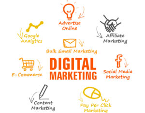 Wellington Internet Marketing agency